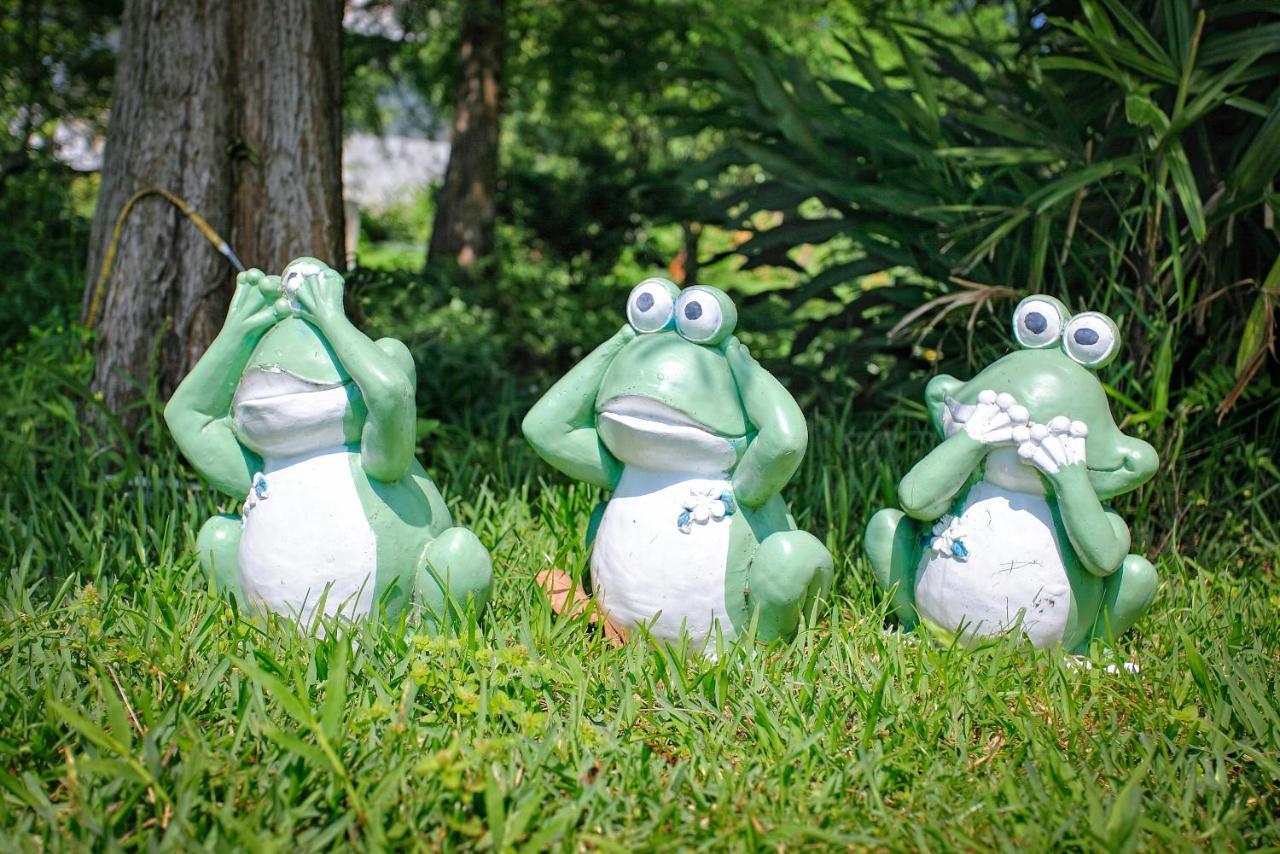 Fairy Story Village Farm B&B Dongshan  Extérieur photo