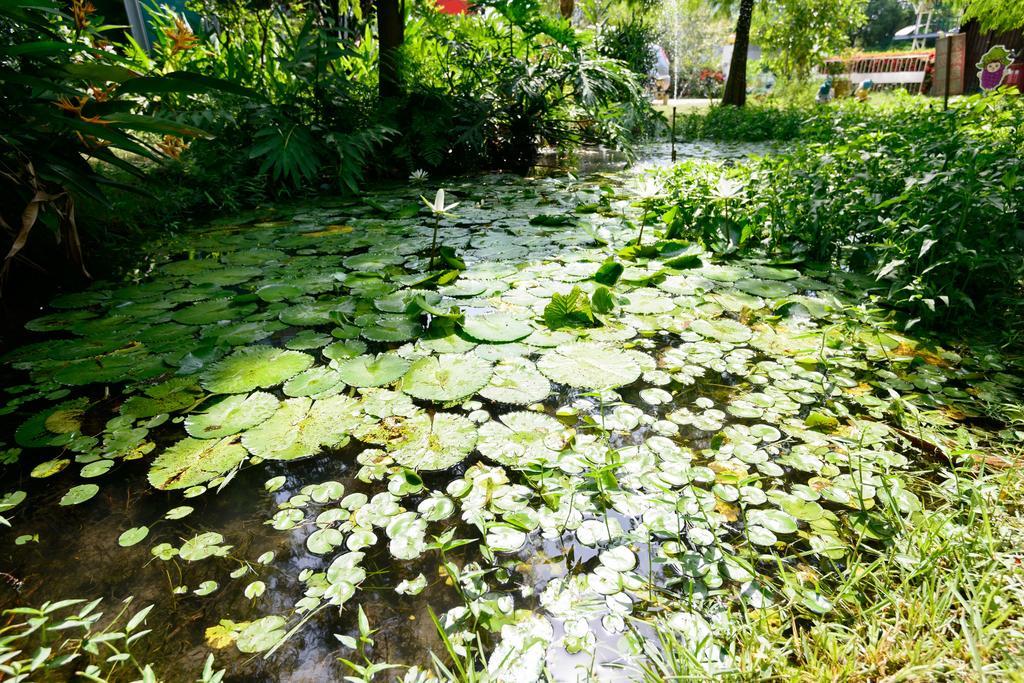 Fairy Story Village Farm B&B Dongshan  Extérieur photo